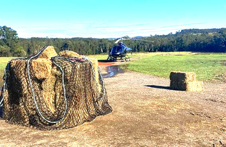 Fodder drops provide lifeline to flooded farmers