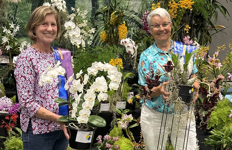 Nambucca Valley Orchid Society all set for Autumn Show