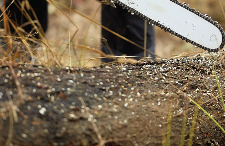 NSW residents urged to purchase firewood collection authorisations this winter