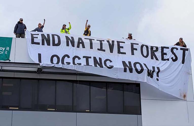 Rooftop protesters fined but no convictions