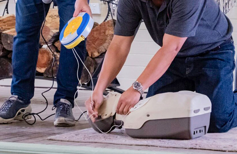 Annual Curry Muster supports AED project
