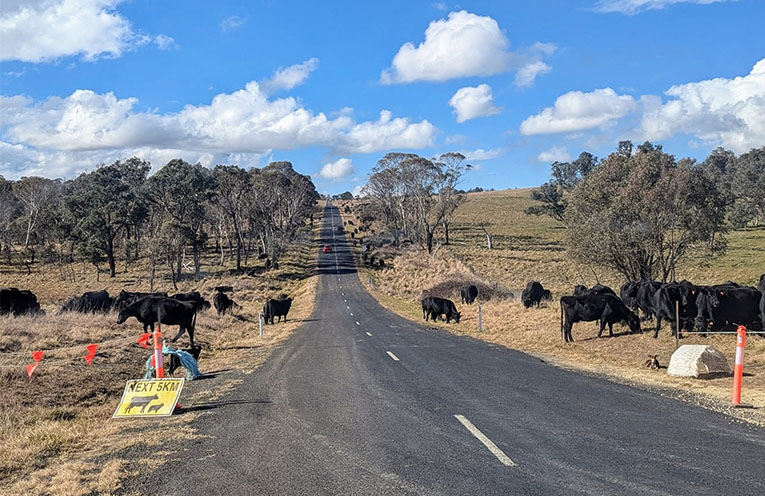 Annual farm census underway across NSW