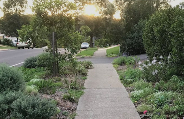 Exploring the opportunity of verge gardening in Bellingen Shire