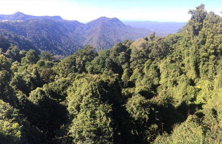 Bellingen Shire reaffirms GKNP Support