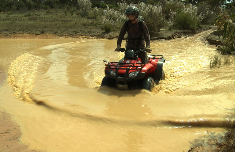 Quad bike standards saving lives as crackdown urged