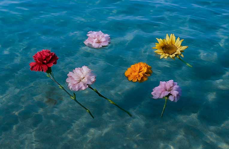 Walk to Remember shines light on suicide awareness and mental health