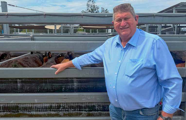 Mayor marks one year leading Nambucca Valley Council