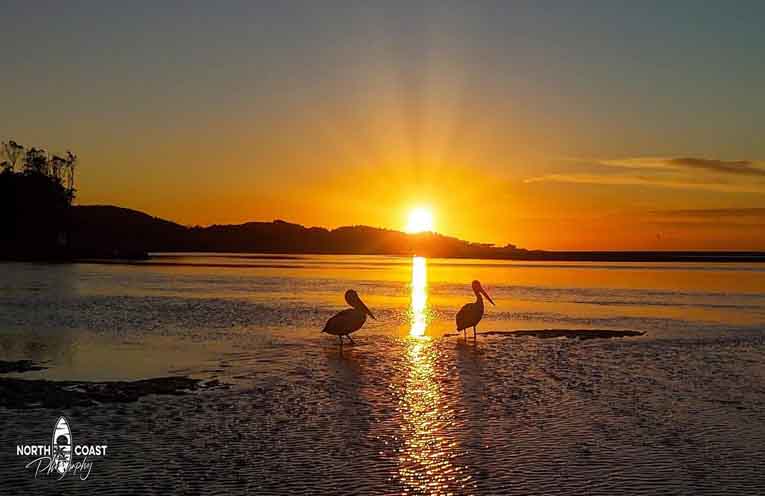 Marine Rescue Nambucca launches stunning 2026 fundraising calendar
