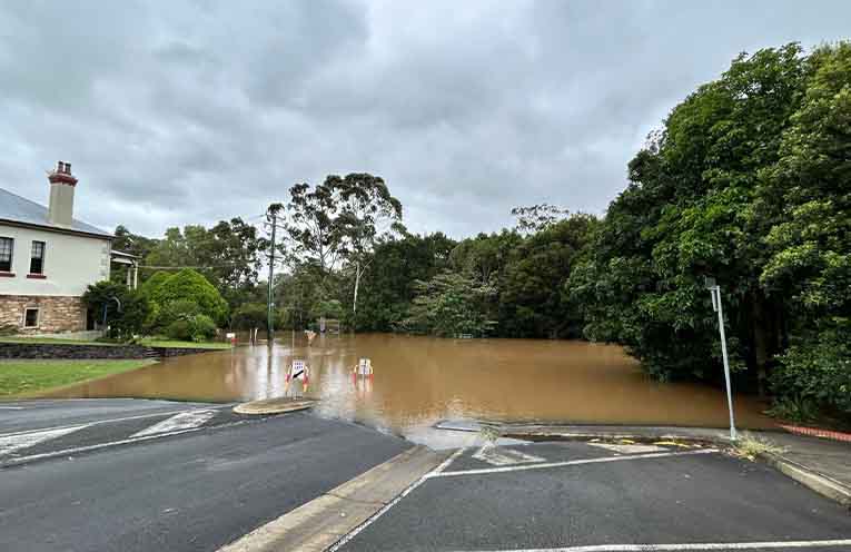 Deforestation can cause eight-fold increase in flood event risk, says report
