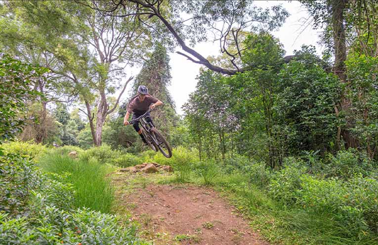 NPWS clarifies community access to Great Koala National Park
