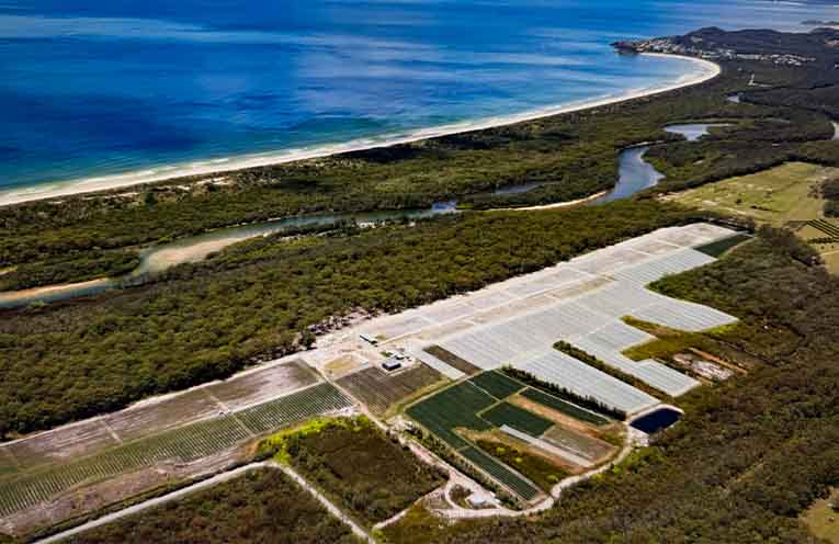 ‘It’s a stitch up’, councillor claims over draft LEP amendment