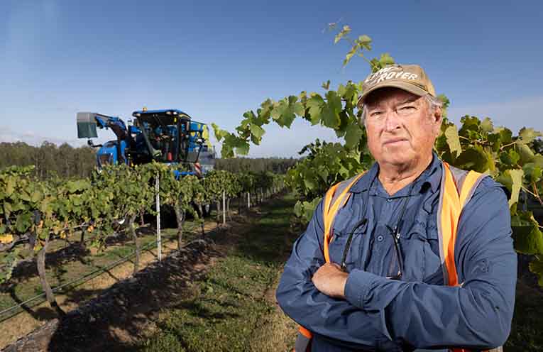 Wine and taxes: only one certainty for small producers