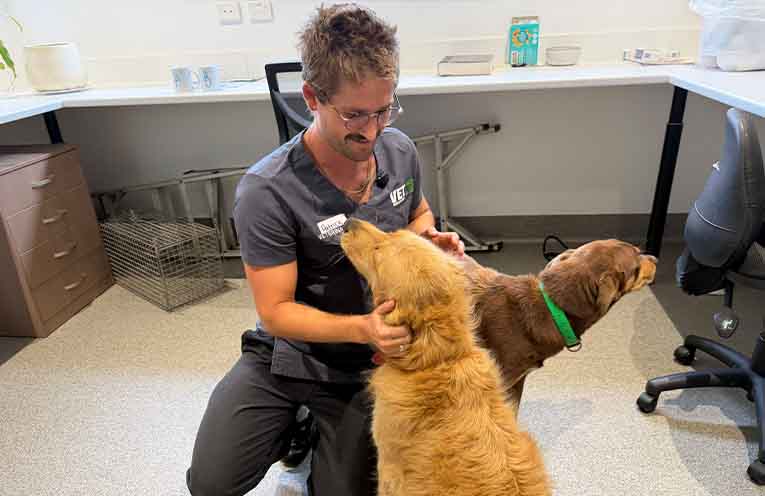 Pet care day set to support Nambucca Valley pet owners