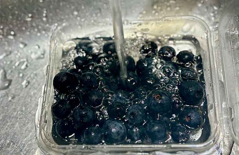 NSW Gov tests confirm blueberries are safe to eat