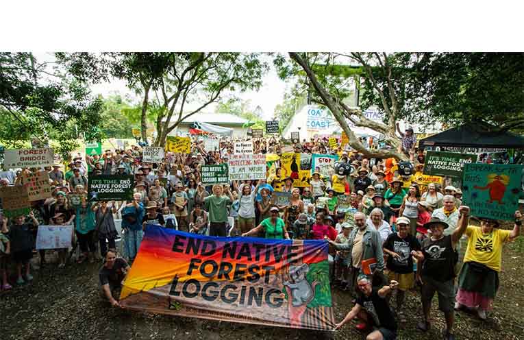 The crowd gathered at Bellingen Park. Photo: supplied, Bob Brown Foundation.