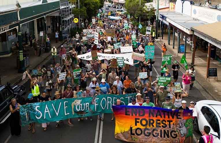Marchers went up and down Bellingen’s main street. Photo: supplied, Bob Brown Foundation.