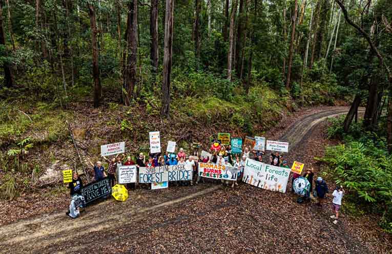 After the march, some went to Pine Creek State Forest to highlight their call for a forest bridge. Photo: supplied, Bob Brown Foundation.