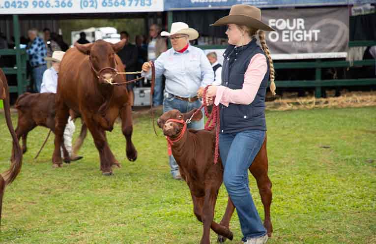 The Macksville Show returns as a celebration of the region’s rural roots