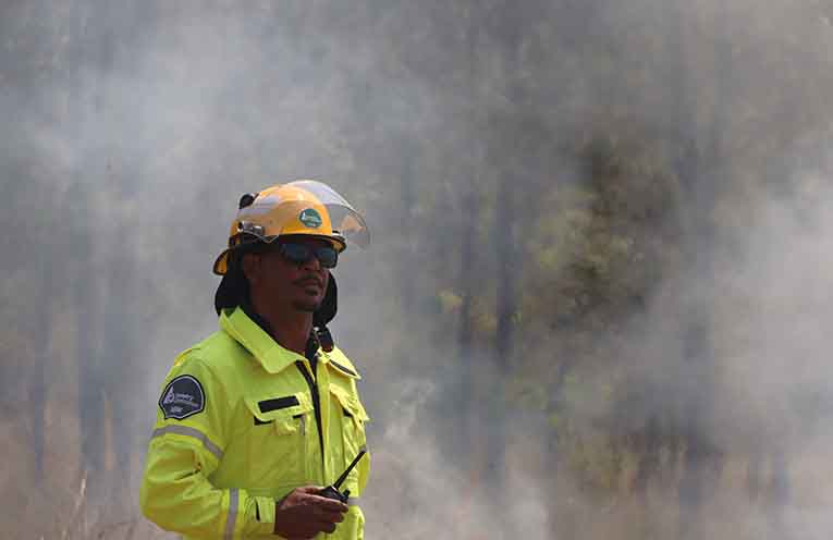 Aboriginal organisations combine in vision for ‘healthy country’