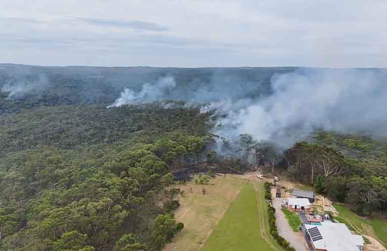 Taskforce launched to accelerate hazard reduction in NSW
