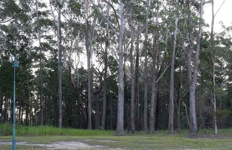 Controversial Valla Beach development site headed to auction