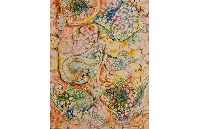 A sample of the works on display in the ‘Despite Appearances’ exhibition. Photo: supplied.
