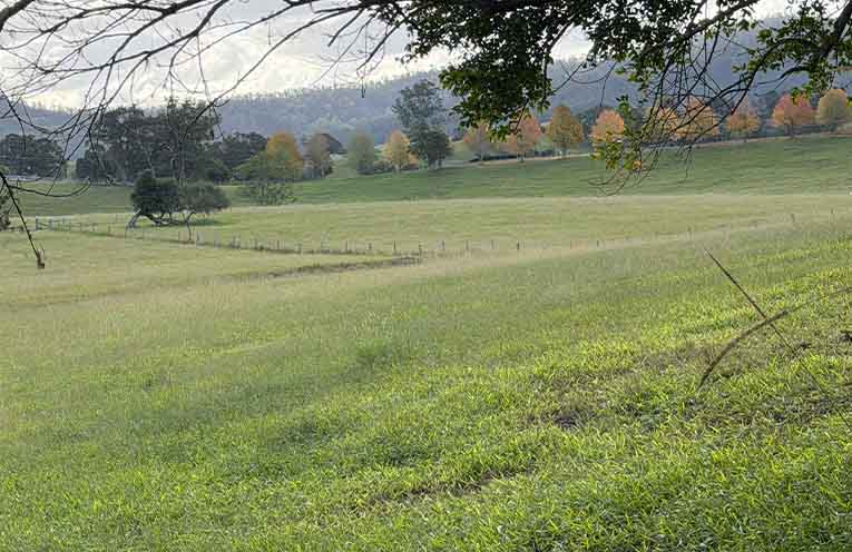 Council seeks community voices for Rural Lands Committee