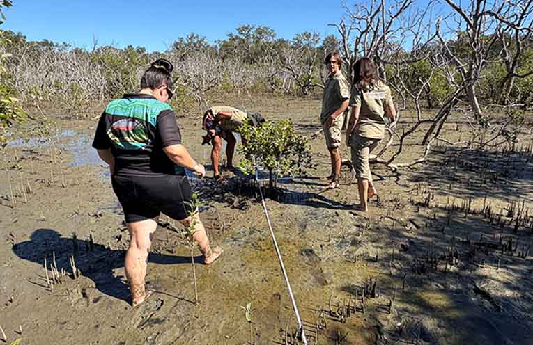 SCU partners with Aboriginal corporations for Sea Country monitoring