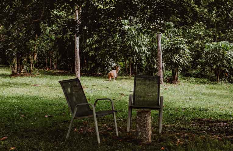 Nambucca Valley Council seeks community input on Rural Residential Strategy
