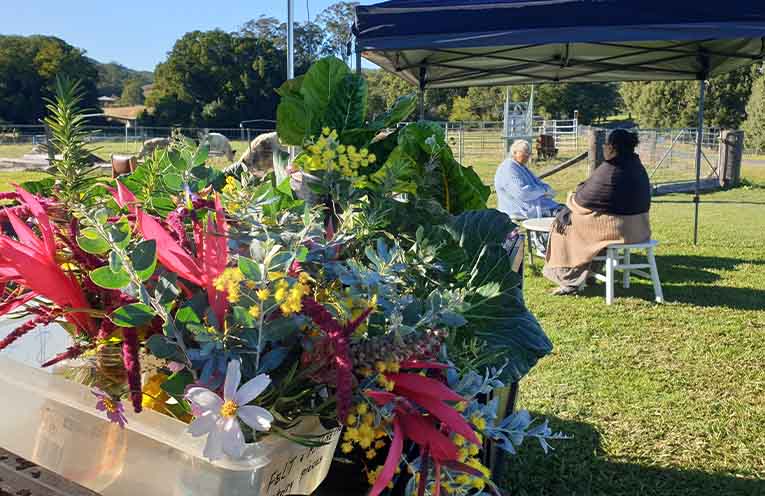 Nambucca Valley roadside stalls can obtain exemptions from Development Applications