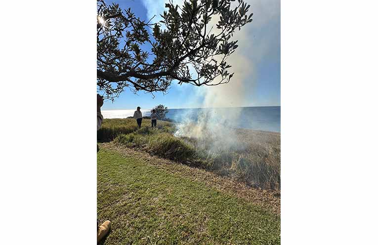 Reflections seeks to build opportunities to heal Country with Traditional Owners within the Crown land reserves in its care.