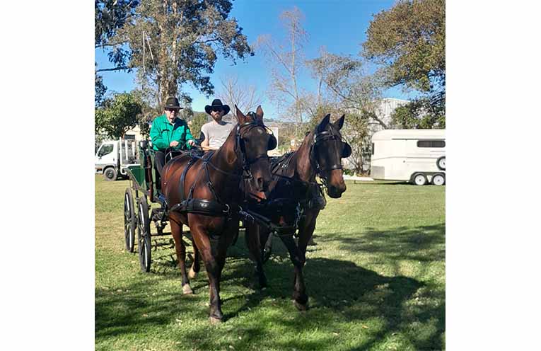 Jim, Toby, Harry and Clancy set off from the clearing next to Mary Boulton Cottage. Photos: Jen Hetherington.