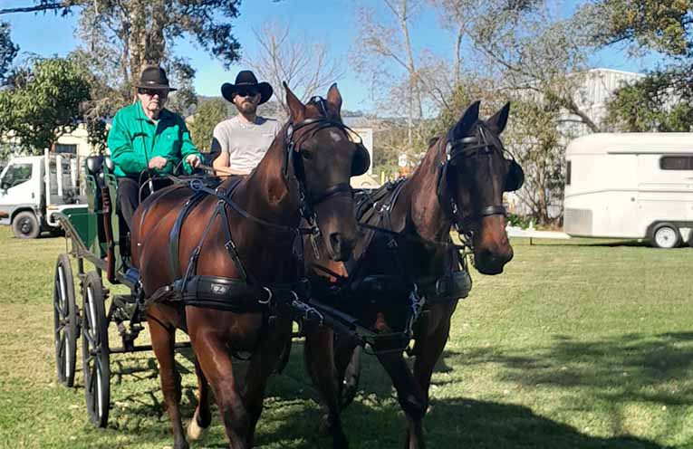 Jim goes shopping with his horses and carriage