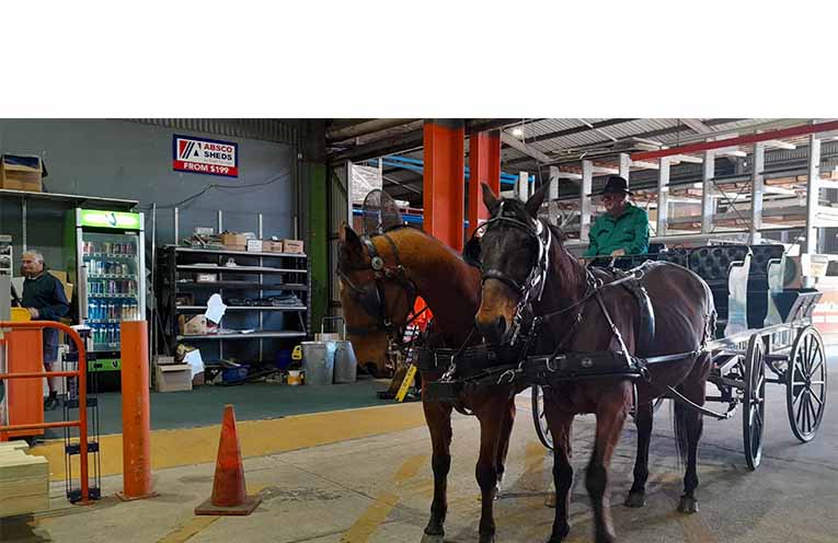 Collecting supplies at Mitre 10.