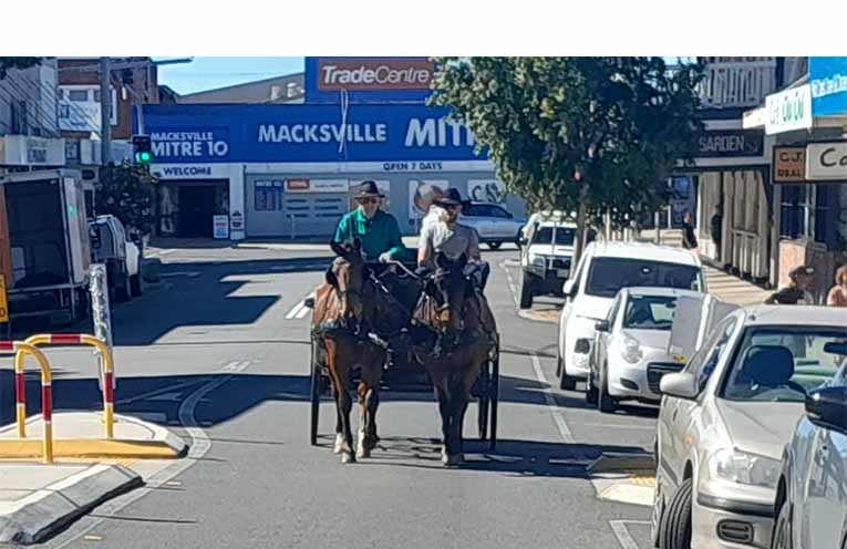 A novel sight in downtown Macksville.
