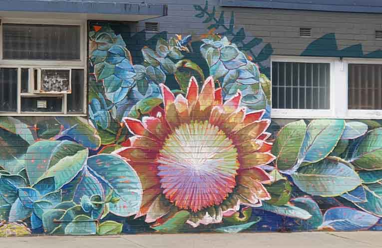 Odd Molly mural detail pops out at Cooper Street Macksville. Photo: Sharon Jane.
