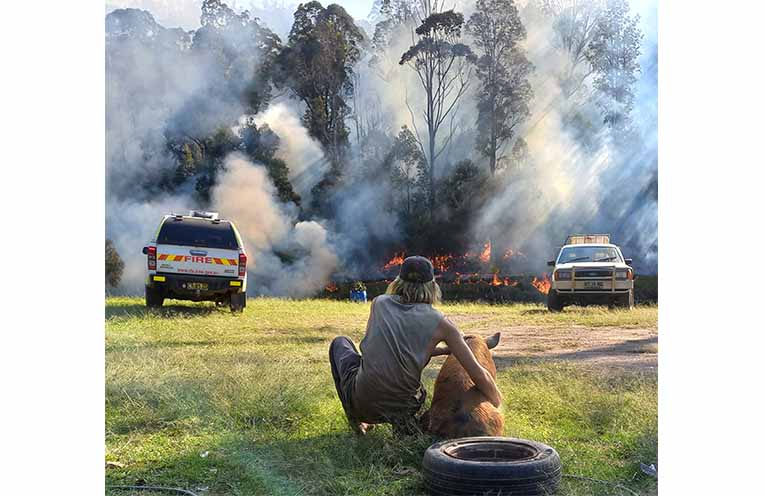 Rielle Garad watching as the RFS successfully contains the fire at South Arm. Photo: Leith Garad.