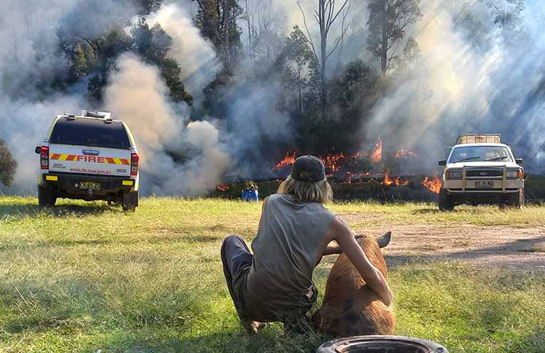 RFS firefighter hit by falling tree at Yarranbella in stable condition at John Hunter Hospital