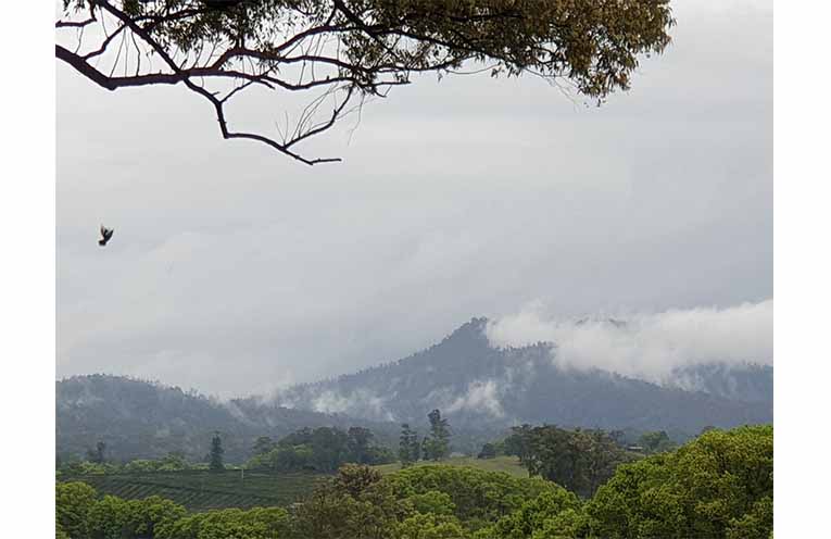Looking towards the South Arm fire area from Bellingen Road after rain on 28 September. Photo: Sharon Jane.
